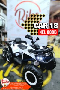 CAR- 18 NEL-009B