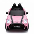 CAR-24 SMT-5688 - MINI