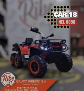 CAR- 18 NEL-009B