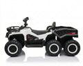 CAR- 18 NEL-009B
