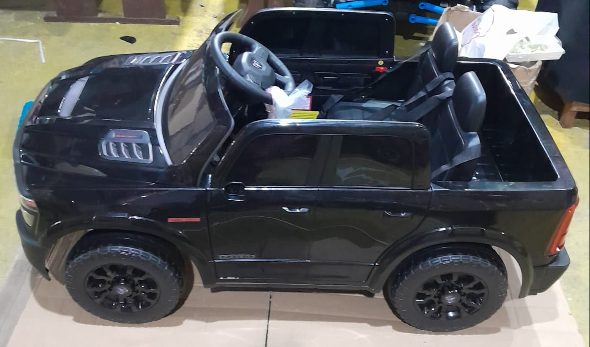CAR-31 DLS-K03 RAM